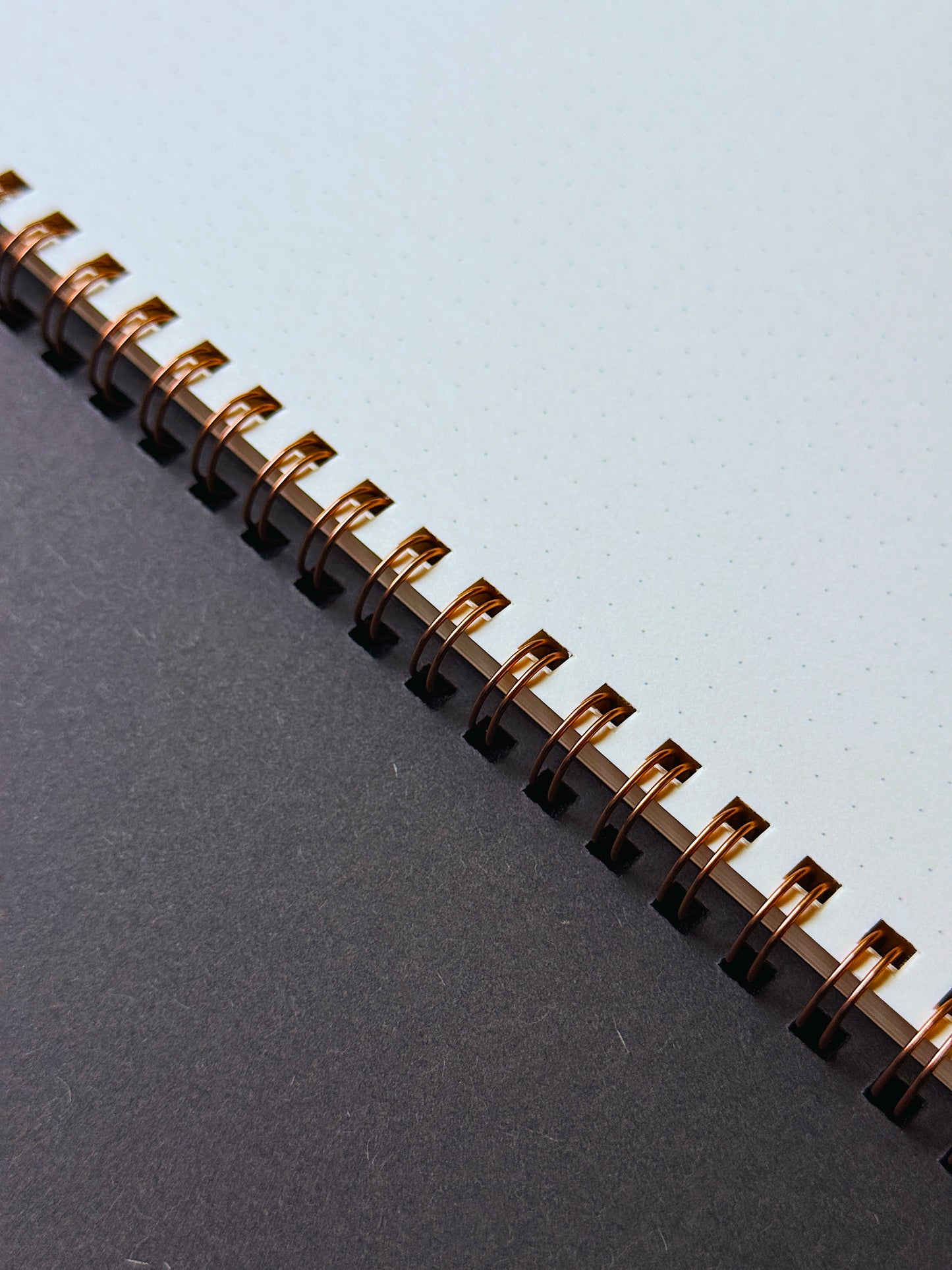 The Executive RING NOTE