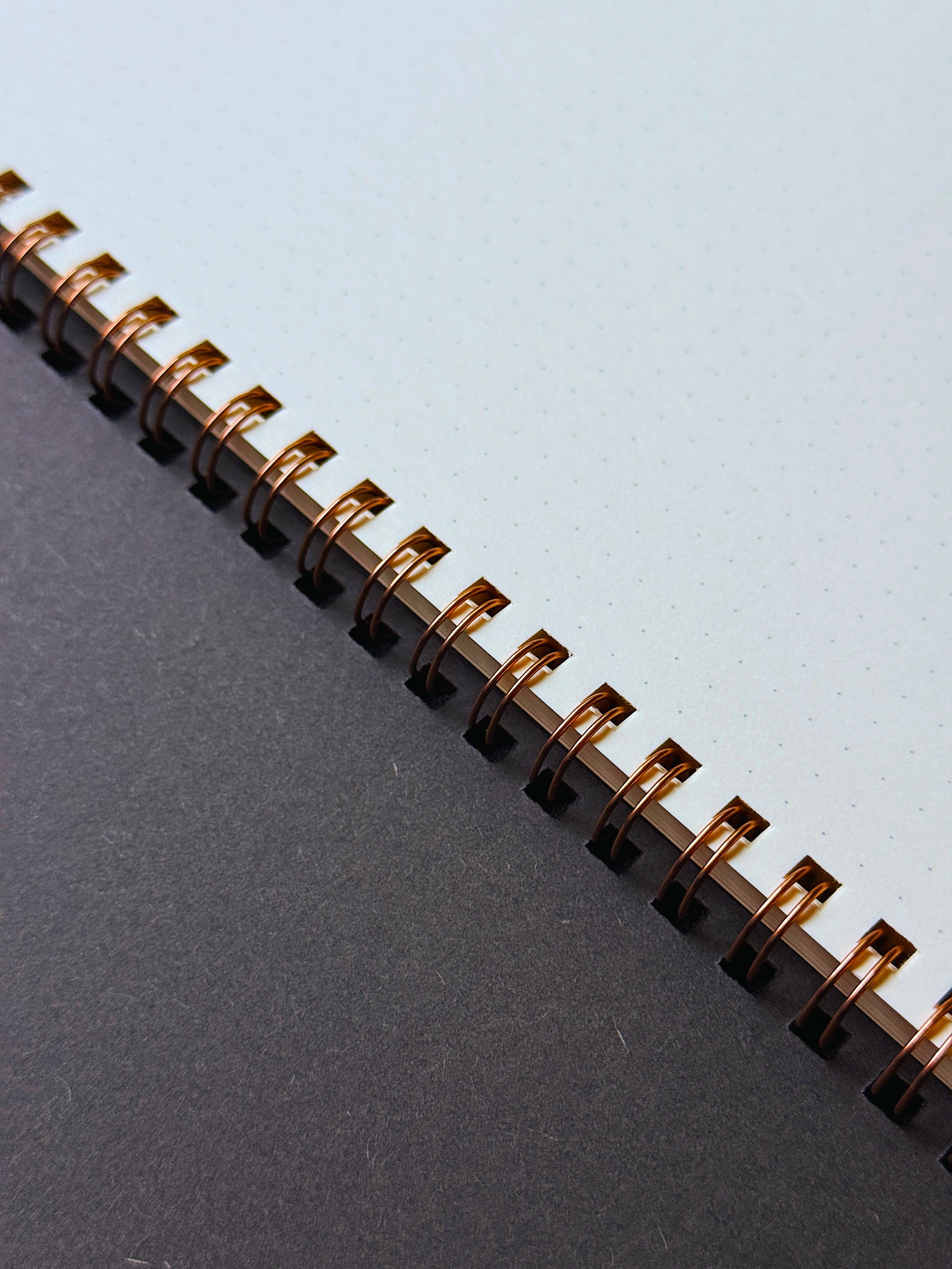 The Executive RING NOTE